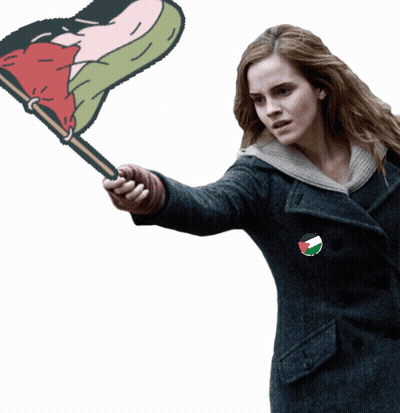 A Woman In A Blue Coat Is Holding A Flag With A Drawing Of A Person On It GIF