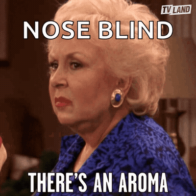 A Woman In A Blue Dress Has A Meme That Says Nose Blind There 'S An Aroma GIF