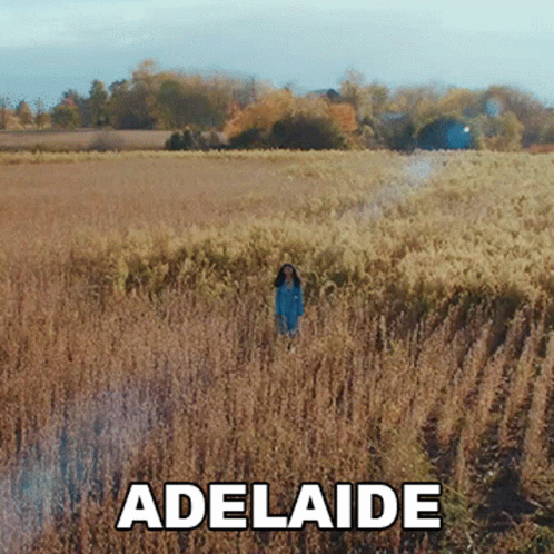 A Woman In A Blue Dress Is Standing In A Field With The Word Adelaide On The Bottom GIF