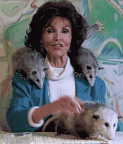 A Woman In A Blue Jacket Is Petting Two Opossums On Her Shoulders GIF