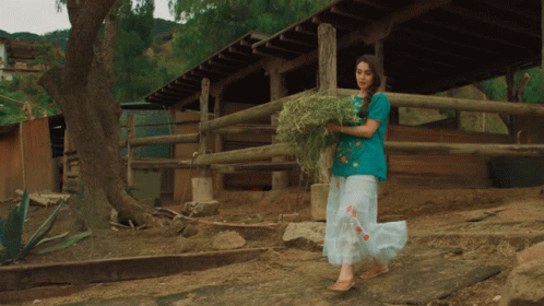 A Woman In A Blue Shirt And White Skirt Is Carrying A Bucket Of Hay GIF