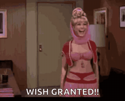 A Woman In A Bra And Skirt Is Standing In A Room With The Words Wish Granted GIF