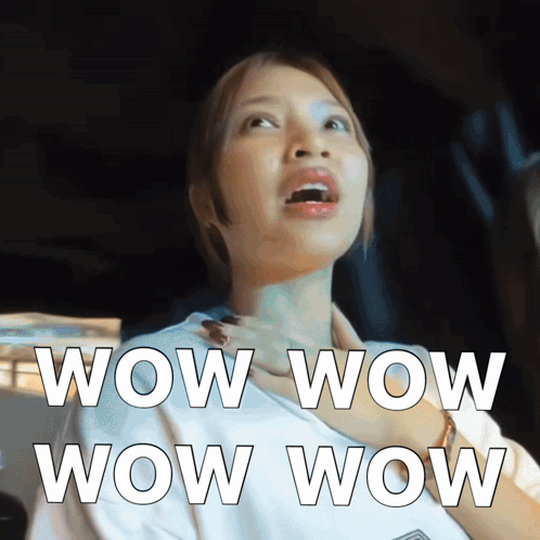 A Woman In A Car With The Words Wow Wow Wow Wow On Her Chest GIF