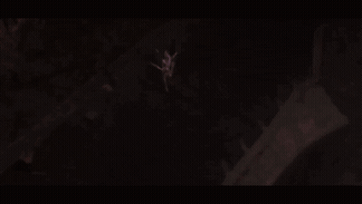 A Woman In A Costume Is Holding A Sword And Shield In A Video Game . GIF