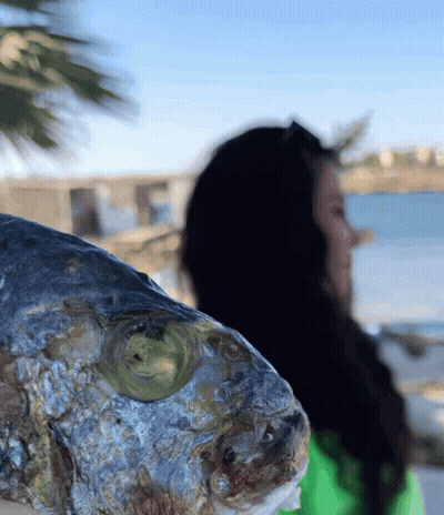 A Woman In A Green Shirt Is Holding A Fish With A Green Eye GIF