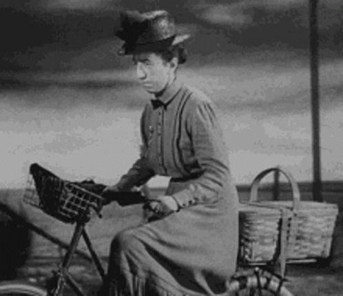 A Woman In A Hat Is Riding A Bicycle With A Basket On The Front . GIF