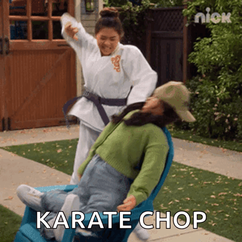 A Woman In A Karate Uniform Is Kicking Another Woman In A Chair With The Words Karate Chop Written On The Bottom GIF
