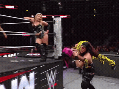 A Woman In A Leopard Print Outfit Is Being Lifted In The Air By A Wrestler GIF