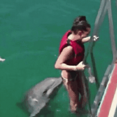 A Woman In A Life Jacket Is Holding A Dolphin In The Water GIF