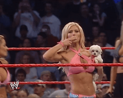 A Woman In A Pink Bikini Is In A Wrestling Ring With A Small White Dog GIF