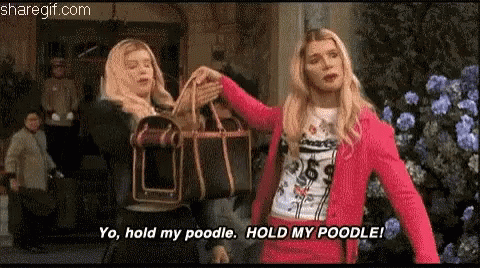 A Woman In A Pink Jacket Is Holding A Poodle While Another Woman Holds A Dog Carrier . GIF