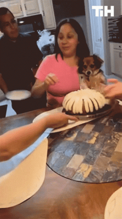 A Woman In A Pink Shirt Is Holding A Dog In Her Lap While A Person Holds A Cake With The Letters Th Above It GIF
