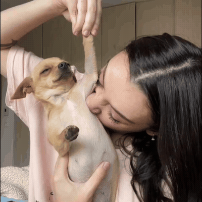 A Woman In A Pink Shirt Is Kissing A Small Dog On The Nose GIF