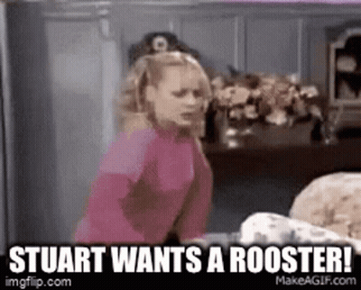 A Woman In A Pink Shirt Is Standing Next To A Dog In A Room And Says Stuart Wants A Rooster . GIF