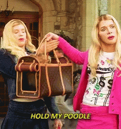 A Woman In A Pink Suit Is Holding A Dog Carrier While Another Woman Holds A Purse GIF