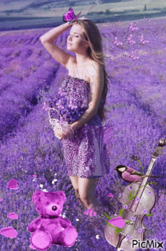 A Woman In A Purple Dress Is Standing In A Field Of Purple Flowers With A Violin And A Teddy Bear . GIF