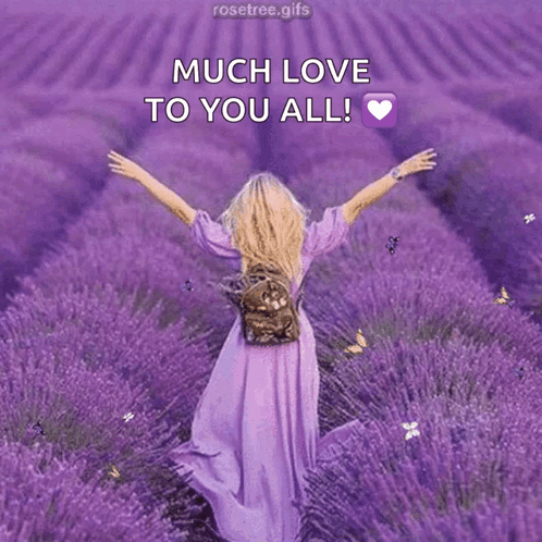 A Woman In A Purple Dress Is Walking Through A Field Of Lavender Flowers GIF