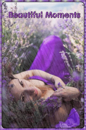 A Woman In A Purple Dress Laying In A Field Of Lavender Flowers GIF
