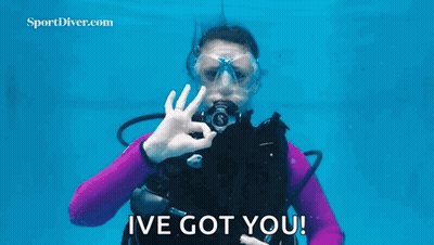 A Woman In A Purple Wetsuit Is Holding A Starfish In Her Hand Underwater . GIF