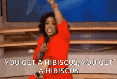 A Woman In A Red Dress Is Holding A Microphone And Says You Get A Hibiscus , You Get A Hibiscus GIF