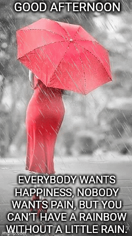 A Woman In A Red Dress Is Holding An Umbrella In The Rain . GIF