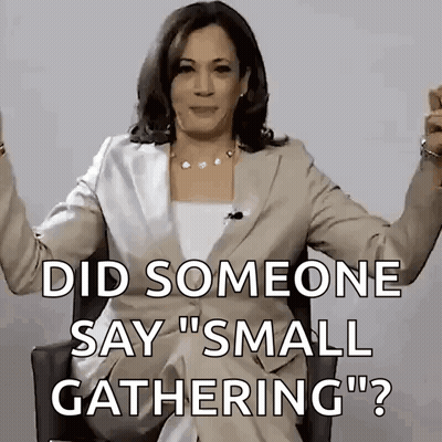A Woman In A Suit Is Sitting In A Chair And Saying `` Did Someone Say `` Small Gathering `` ? '' GIF