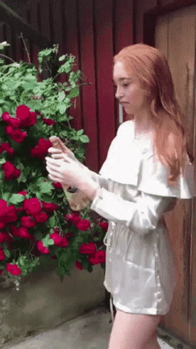 A Woman In A White Dress Is Standing In Front Of A Bush With Red Roses GIF