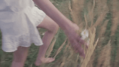 A Woman In A White Dress Is Walking Through A Field Of Tall Grass Holding A Flower In Her Hand . GIF