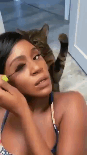 A Woman Is Applying Makeup While A Cat Is Sitting On Her Face . GIF