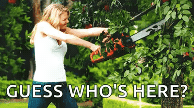 A Woman Is Cutting A Tree With A Chainsaw And The Words `` Guess Who 'S Here '' Below Her . GIF