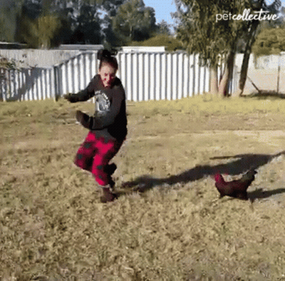 A Woman Is Dancing With A Chicken In A Field With Petcollective Written On The Bottom Right GIF