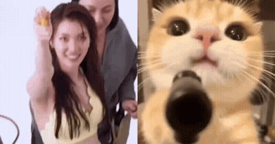 A Woman Is Getting Her Hair Done Next To A Cat Holding A Gun . GIF