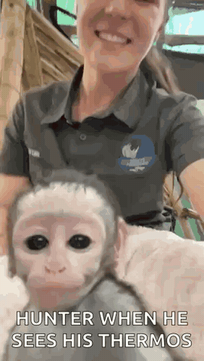 A Woman Is Holding A Baby Monkey With The Caption Hunter When He Sees His Thermos . GIF