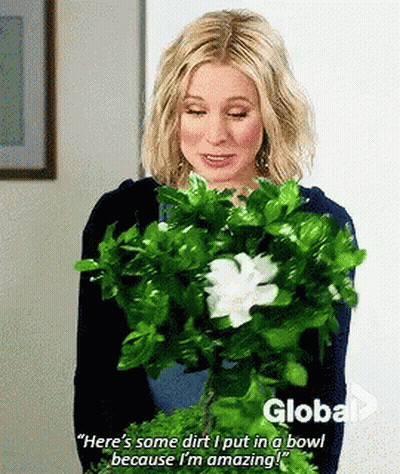 A Woman Is Holding A Bouquet Of Green Flowers And Says " Here 'S Some Dirt " GIF
