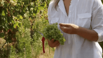 A Woman Is Holding A Bunch Of Green Grapes In Her Hands GIF