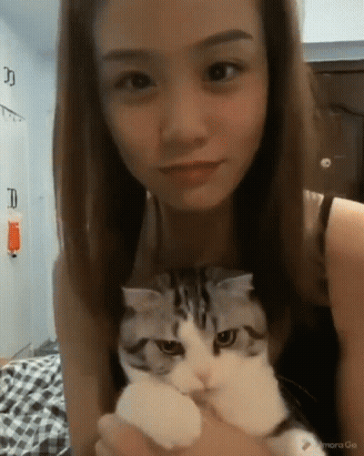 A Woman Is Holding A Cat In Her Arms And The Cat Is Looking At The Camera With A Watermark That Says Mora Go GIF