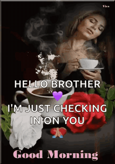 A Woman Is Holding A Cup Of Coffee With The Words Hello Brother I 'M Just Checking In On You GIF