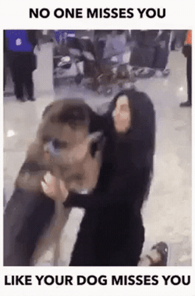 A Woman Is Holding A Large Dog In Her Arms And Says No One Misses You Like Your Dog Misses You . GIF