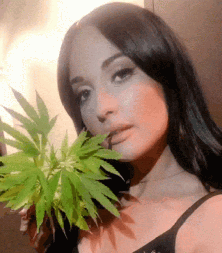 A Woman Is Holding A Marijuana Plant In Her Hand GIF