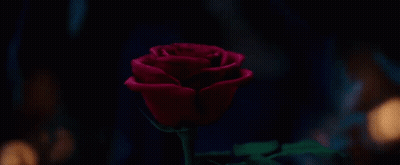 A Woman Is Holding A Red Rose In Front Of Her Face In A Dark Room . GIF