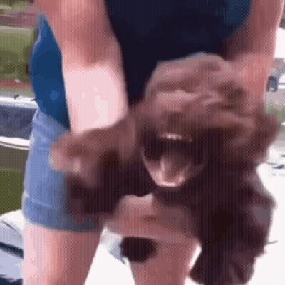 A Woman Is Holding A Small Dog With Its Mouth Open . GIF
