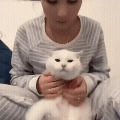 A Woman Is Holding A White Cat In Her Lap While Sitting On A Bed . GIF