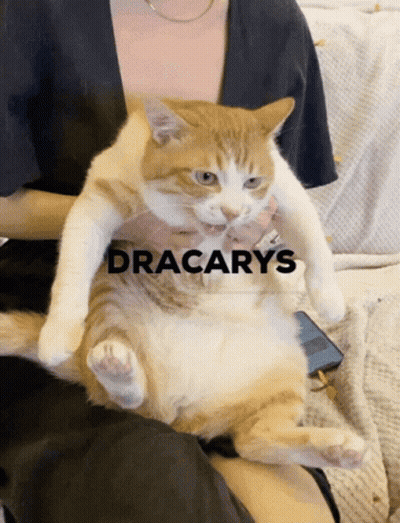 A Woman Is Holding An Orange And White Cat With The Word Dracarys On The Bottom Right GIF