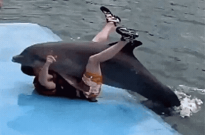 A Woman Is Laying On The Back Of A Dolphin In The Water . GIF