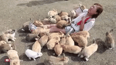 A Woman Is Laying On The Ground Surrounded By A Bunch Of Bunnies . GIF