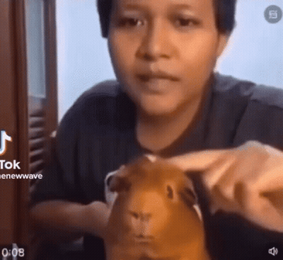 A Woman Is Petting A Guinea Pig While Sitting In Front Of A Window . GIF