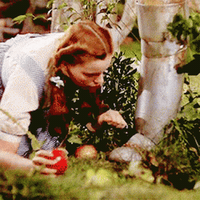 A Woman Is Picking An Apple From A Bush GIF
