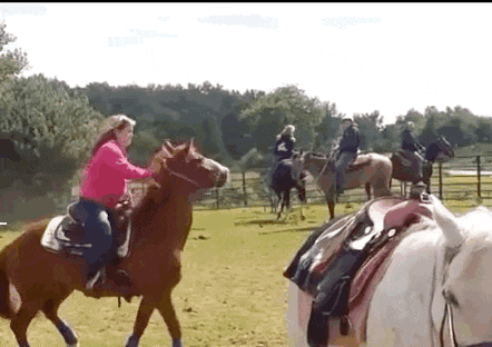 A Woman Is Riding A Horse In A Field With Other People . GIF