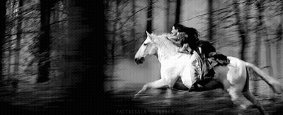 A Woman Is Riding On The Back Of A White Horse Through A Forest . GIF