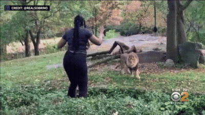 A Woman Is Running Away From A Lion In A Park GIF